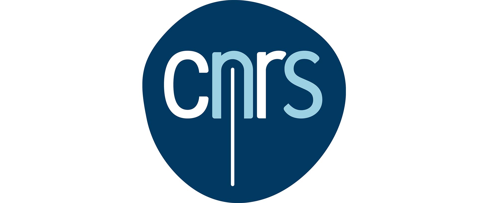 CNRS LOGO