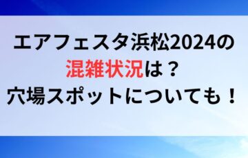 エアフェスタ浜松2024の混雑状況は？穴場スポットについても！