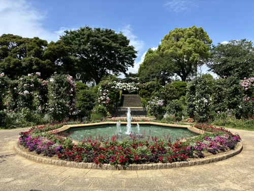 港の見える丘公園　香りの庭