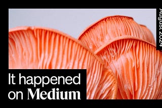 It Happened on Medium: August 2024 roundup