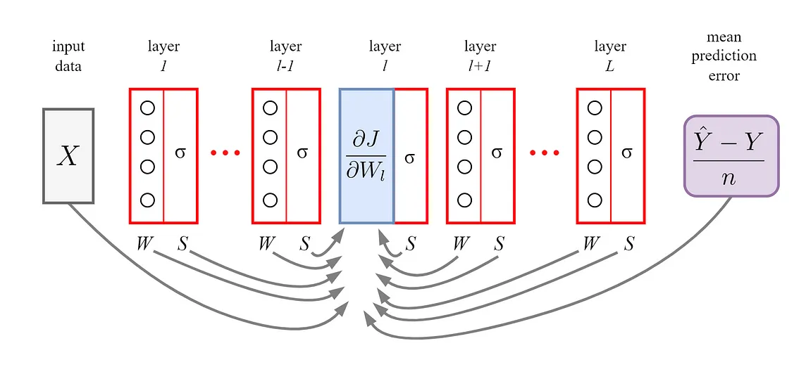 Grokking gradients in deep neural networks