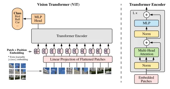 Image Classification using Vision Transformer (ViT)