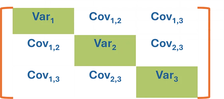 Covariance Matrices, Covariance Structures, and Bears, Oh My!