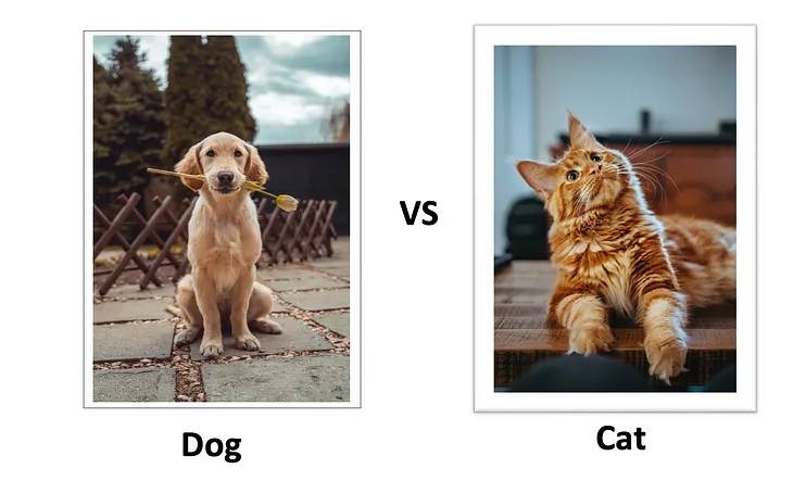 Image Classification For Beginners