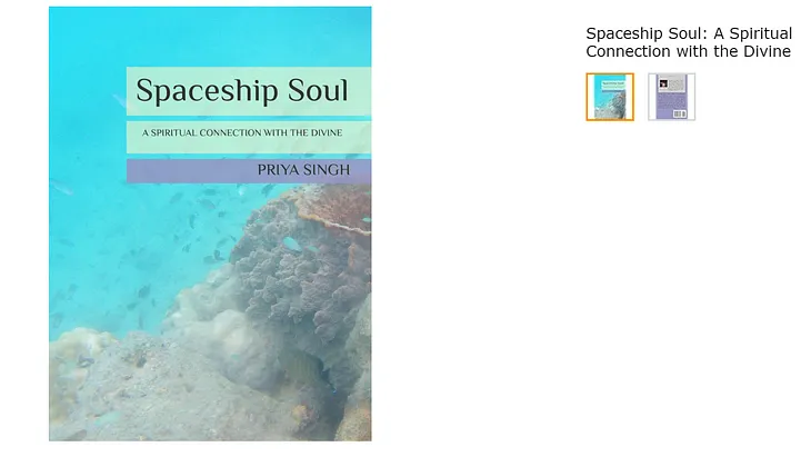 Book: Spaceship Soul: A Spiritual Connection with the Divine