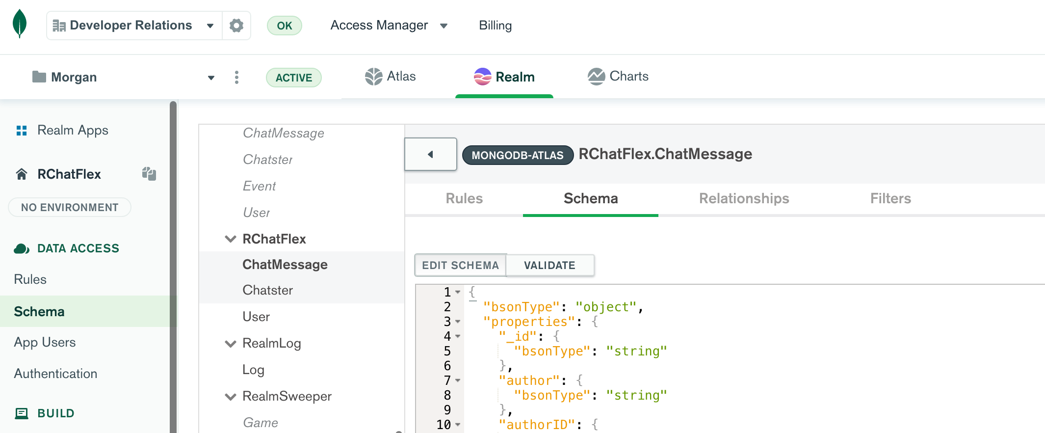 Screen capture of schema section of the Realm UI