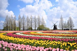 あけぼの山農業公園