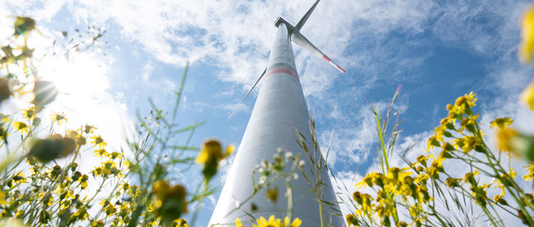 Windrad auf einem Feld