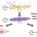 hayden lab image