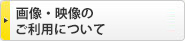 画像・映像のご利用について