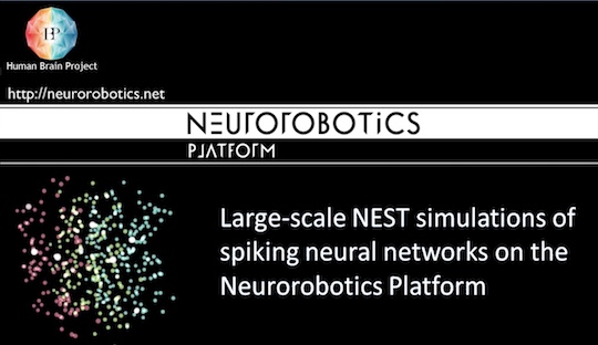 Large-scale NEST simulations