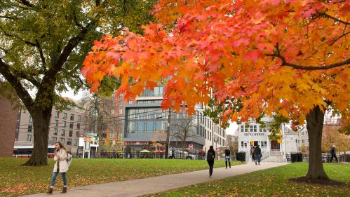 students walking on Voorhees Mall during fall season