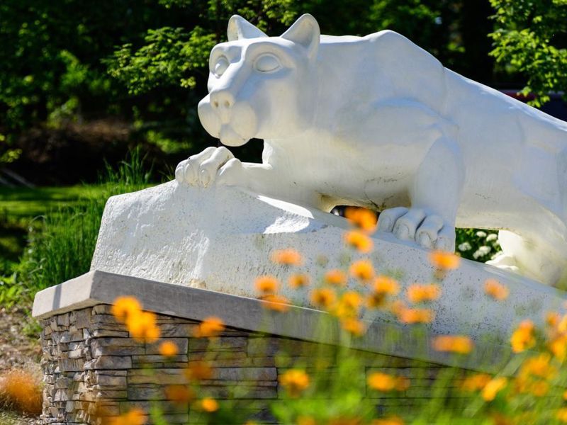 Lion Shrine York Summer 