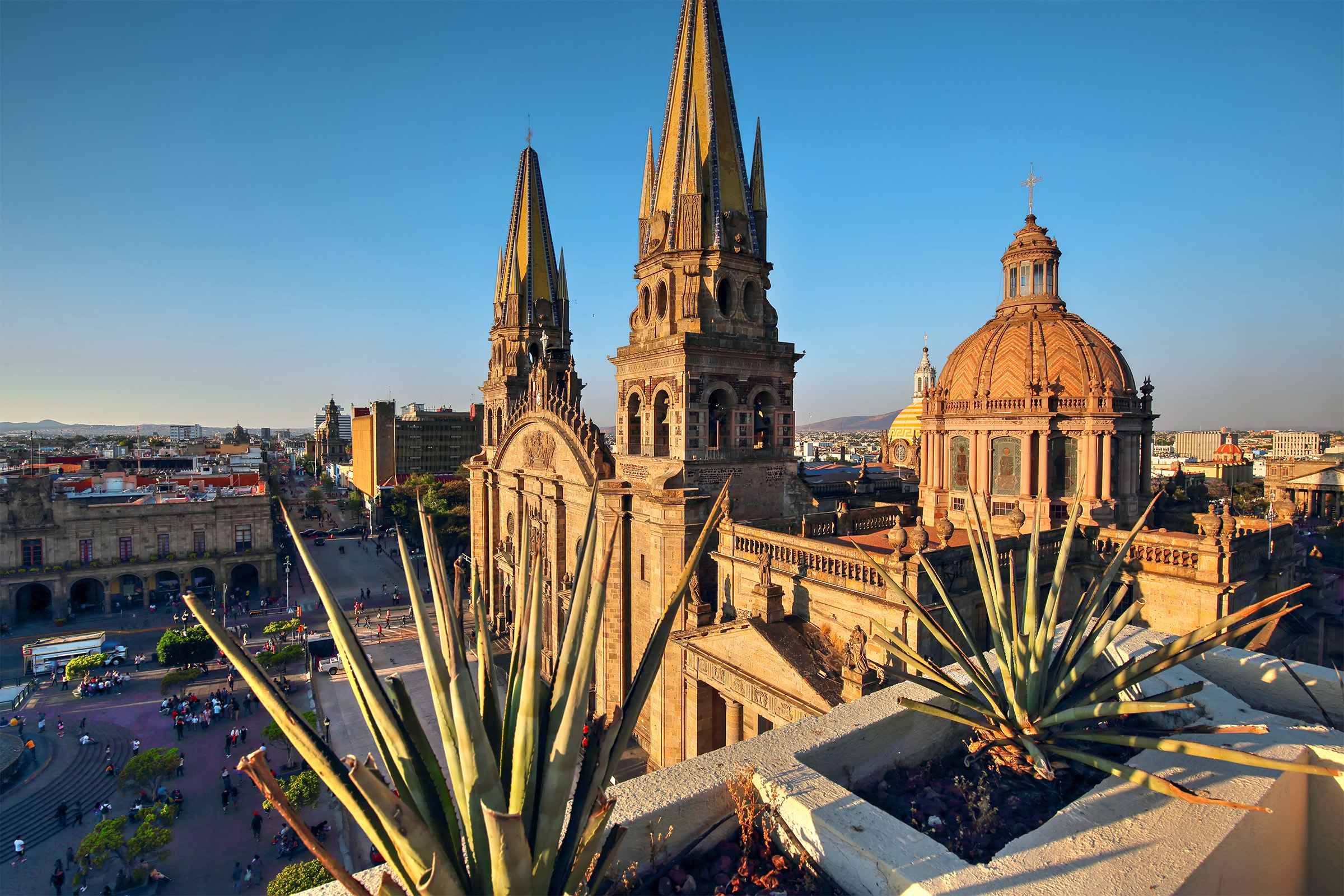 Guadalajara Cathedral (Cathedral of the Assumption of Our Lady), and agave plants.