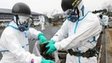 Decontamination work near the Fukushima plant 