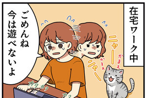 PCあるある 第6回 【漫画】猫だからしかたない