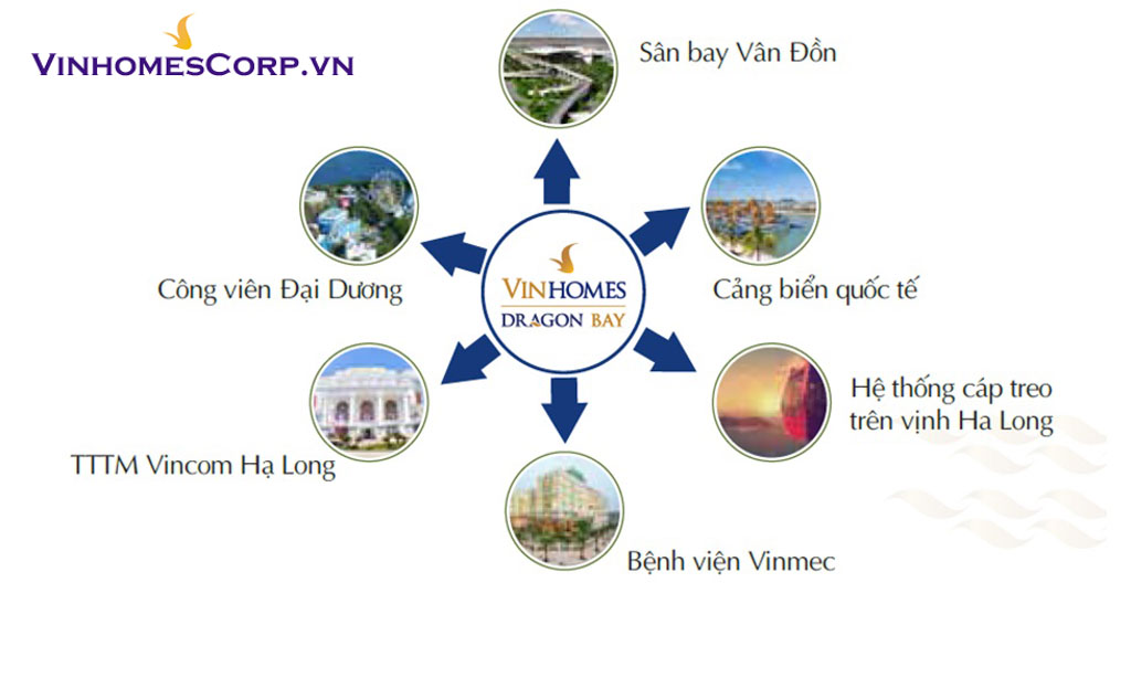 lien ket vung vinhomes dragon bay