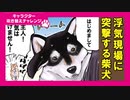 世界の終わりに柴犬と 第5話「【吹き替えチャレンジ】彼氏みたいな柴犬」