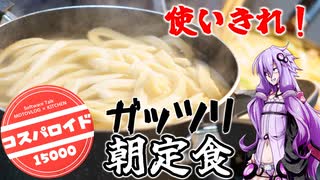 【コスパロイド15000】朝からガッツリパワー定食