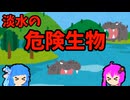 【VOICEROID解説】ゆかり先輩と見る危険生物【淡水編⑧】