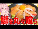 【夢】ついに念願のブリを1匹丸ごと捌いて超豪華な鰤丼を作った！【VOICEROIDキッチン＋生声】