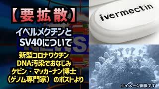 【拡散】イベルメクチンとSV40について コロナワクチンDNA汚染でおなじみケビン・マッカーナン博士（ゲノム専門家）のポストより