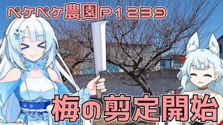 2025年1月13日　農作業日誌P1239　梅の木の剪定を初めて見て、終わりはニューグレンの打ち上げを見ていたよ