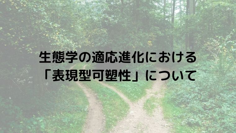 生態学の適応進化における 「表現型可塑性」について