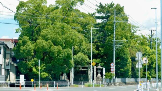 七宝町の羅漢槙　八幡神社　全景