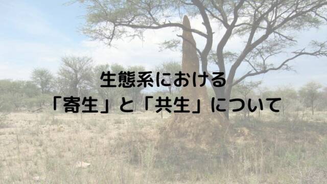 生態系における 「寄生」と「共生」について