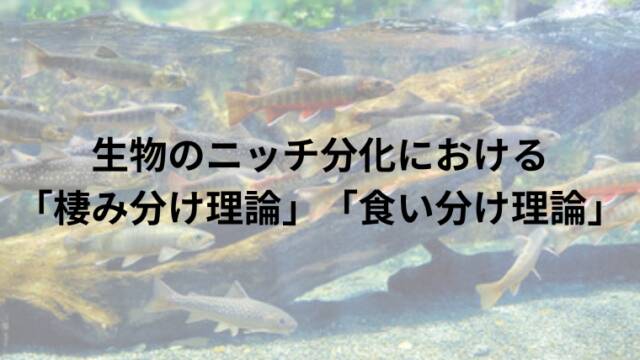 生物のニッチ分化における「棲み分け理論」「食い分け理論」