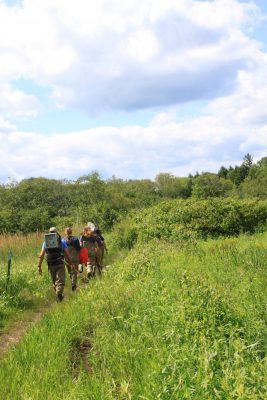 group of UConn students walking in woods