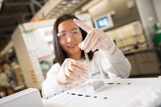 A researcher using a pipette