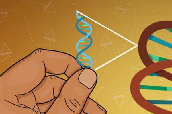 A hand placing a transposable element into a genome, among the chaos of other transposable elements in the background