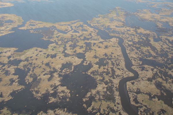 Aerial view of degrading marsh in southeastern Louisiana.