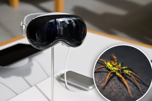 Apple Vision Pro headsets have an "unusually 'scary' vulnerability" that allows hackers to flood your virtual reality with spiders, according to one expert.