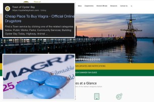 Three photos, showing the homepage for Oyster Bay's website, Viagra pills, and an image of the search results visitors received over the weekend.