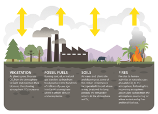 OCO-2 Science: Learn More