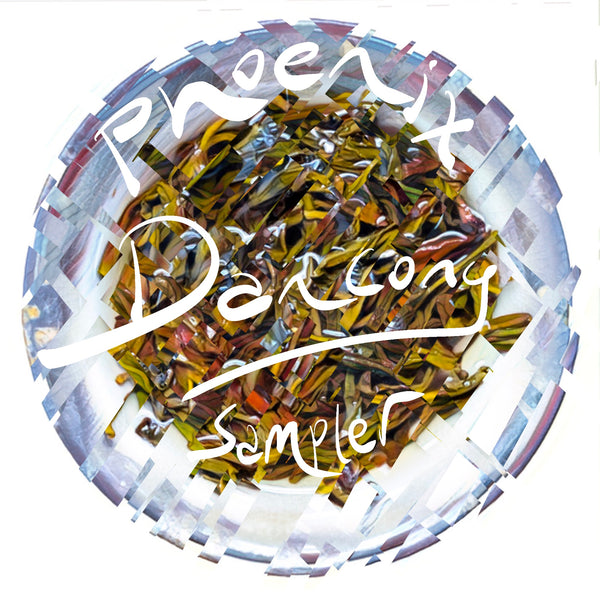 Phoenix Dancong Sampler