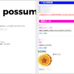 possum/ポッサム（pochat）評判は最悪！無料チャットはウソ！