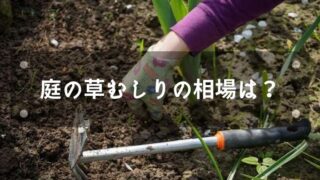 庭の草取りに掛かる費用の相場