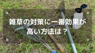 雑草の対策に一番効果が高い方法はなに？