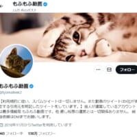 「もふもふ動画」はただの無断転載アカウントではない？その正体に迫る