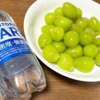 シャインマスカットを炭酸水に浸けるとおいしいらしい　JAのレシピ試してみた