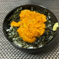 見た目は完全にウニ丼