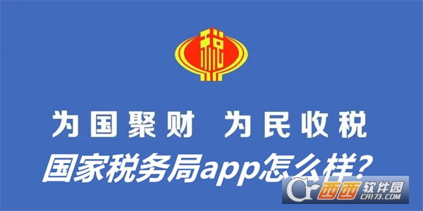 2024国家税务局个人所得税申报APP