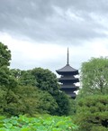 東寺 月子