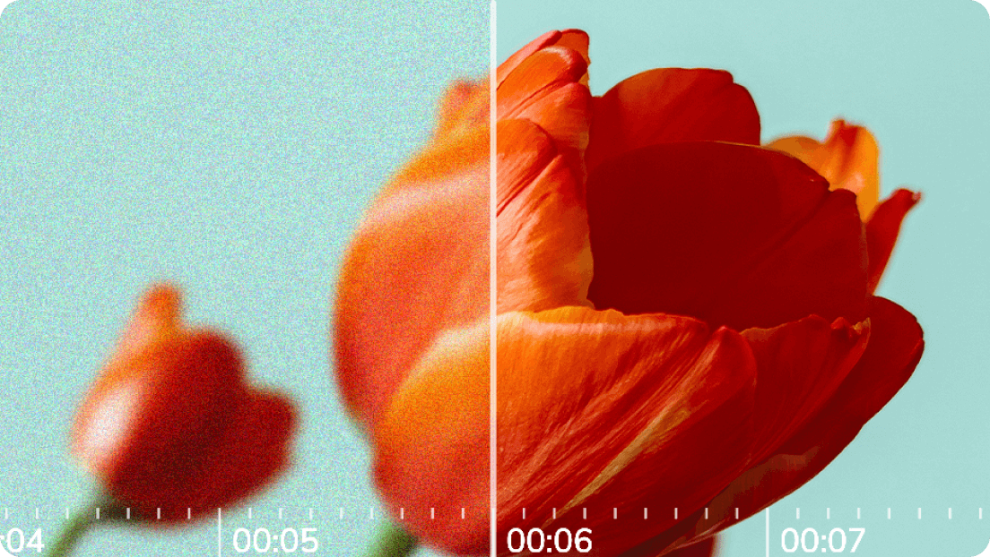 Enhance video quality by deblurring & adding original details