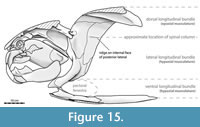 s figure15