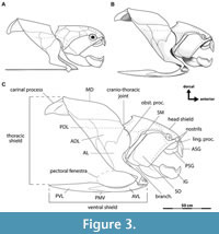 s figure3